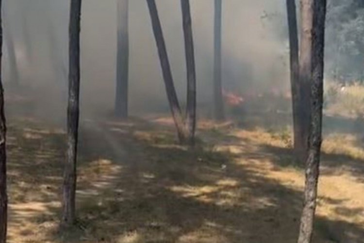 Ruh ve Sinir Hastalıkları Hastanesinde yangın!