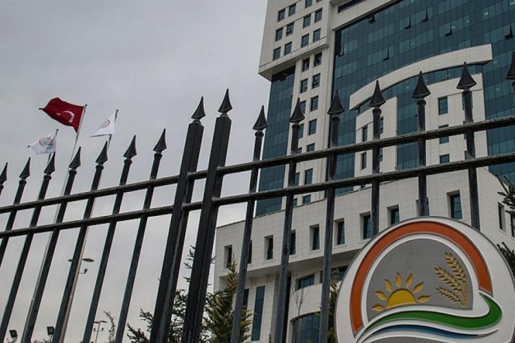 Türkiye'yi alarma geçiren hastalık! Bakandan kırmızı et açıklaması geldi...