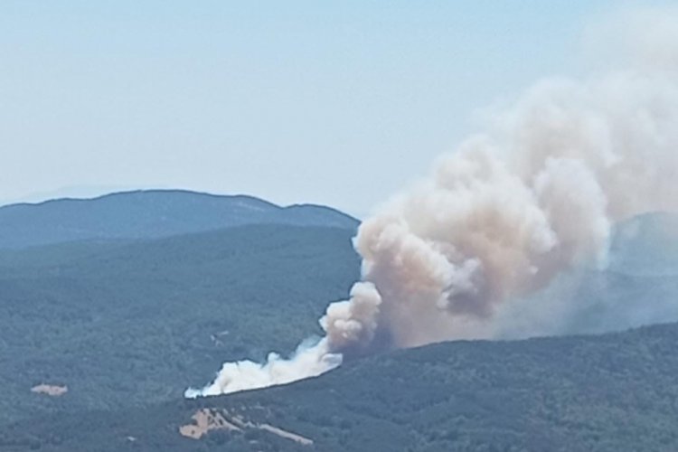 Bursa'da dumanlar yükselmeye devam ediyor! Bir orman yangını daha