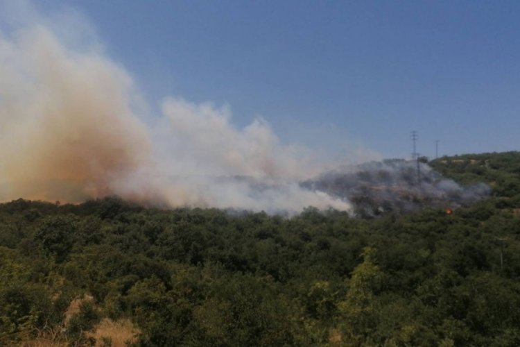 Bursa'da bir orman yangını da İnegöl'den!