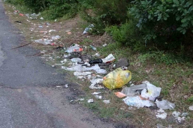 Poşet poşet atıklar doğaya bırakıldı! Görünce pes diyeceksiniz