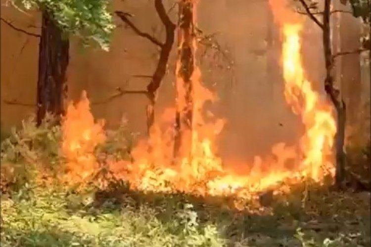 Bursa'da saatlerdir süren yangınla ilgili beklenen haber geldi!