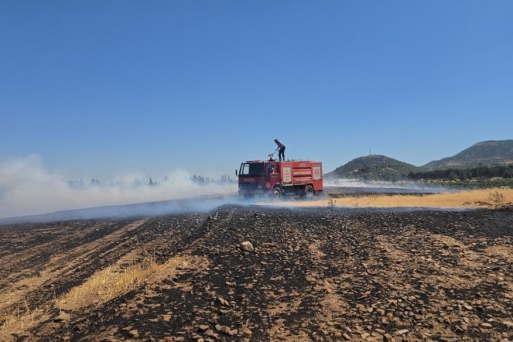 150 dönüm arazi kül oldu