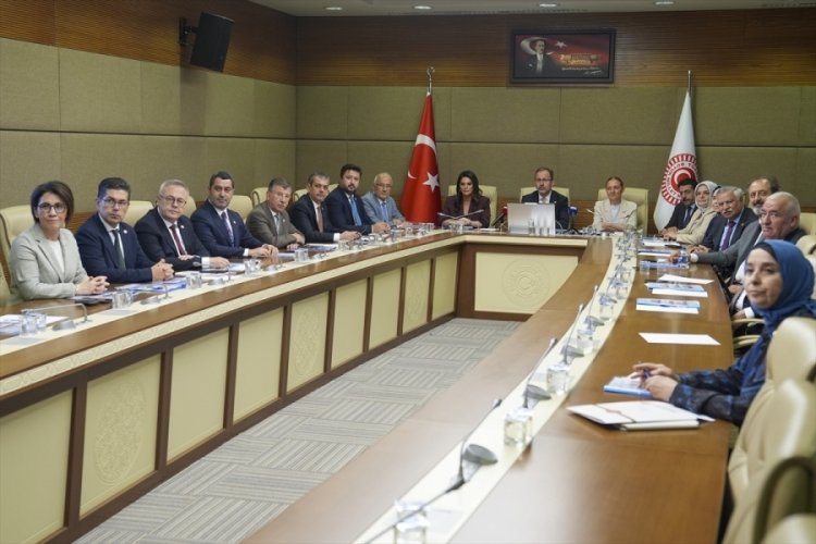 TBMM Engellilerin Sorunlarını Araştırma Komisyonu ilk toplantısını yaptı