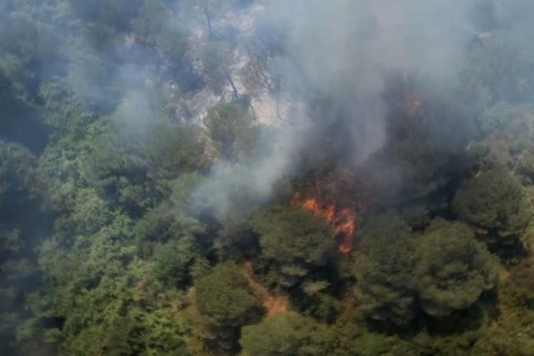 Kent ormanında korkutan yangın! Piknikçiler tahliye edildi