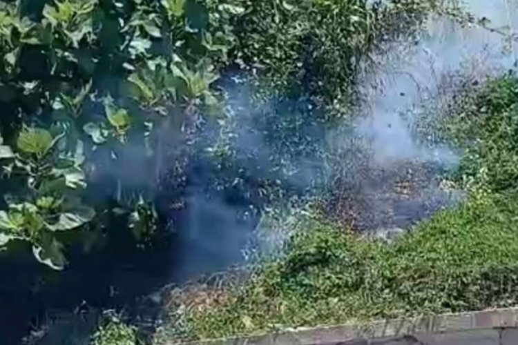 Elektrik telinde akıma kapılan karga, tarlada yangına neden oldu