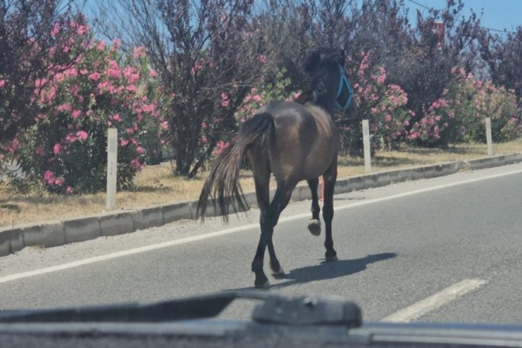 Bursa'da trafikte şoke eden anlar! Araçlar ile yarıştı