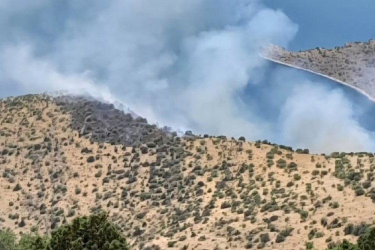 Van'da orman yangını: Ekipler zorlu arazide yürüyerek gitmeye çalışıyor