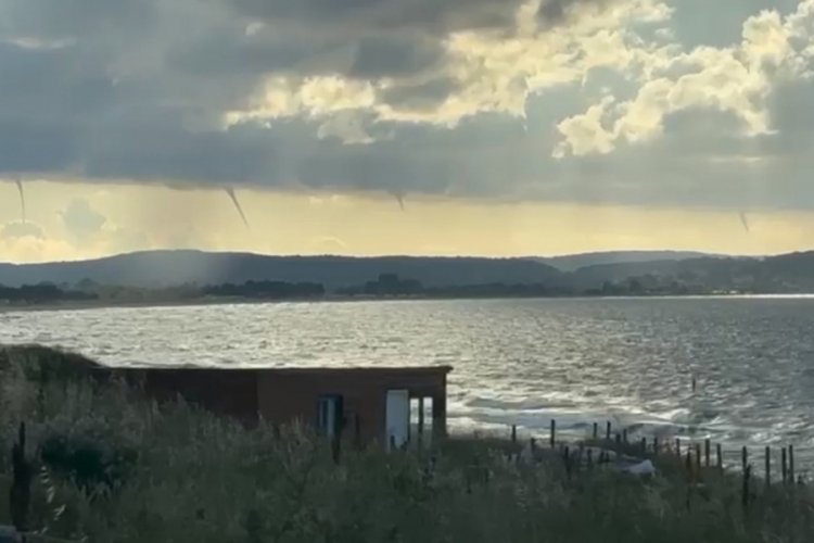 Denizde korkutan görüntü! Korku dolu anlar kamerada...