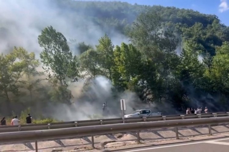 Bursa'da ağaçlık alanda çıkan yangın söndürüldü