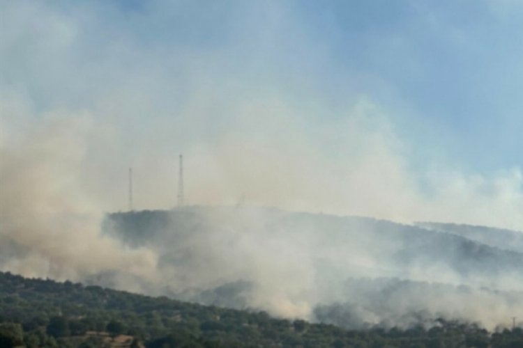 Uşak'taki yangın kontrol altına alındı: Bilanço belli oldu