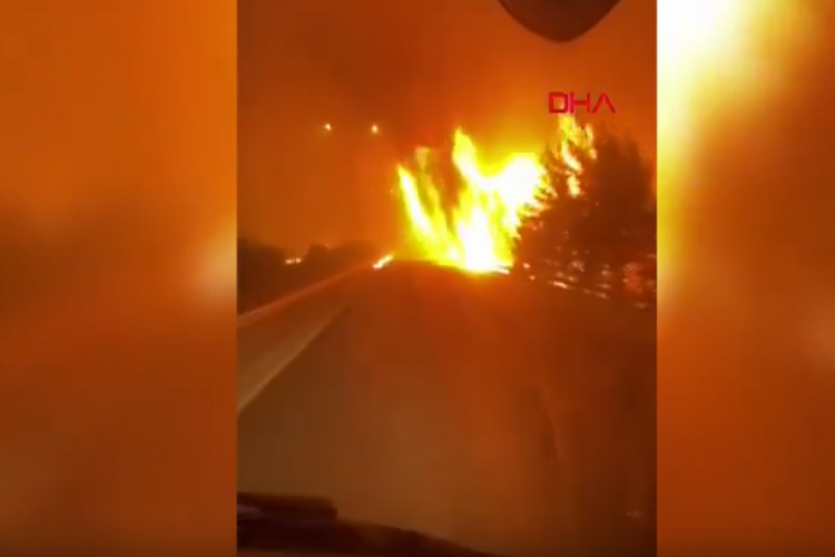 Alevlerin arasına daldı! Yürek yakan görüntüler...