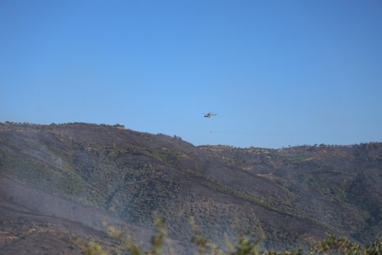 3 gündür devam eden orman yangını sonrası Ödemiş'in dağları siyaha büründü