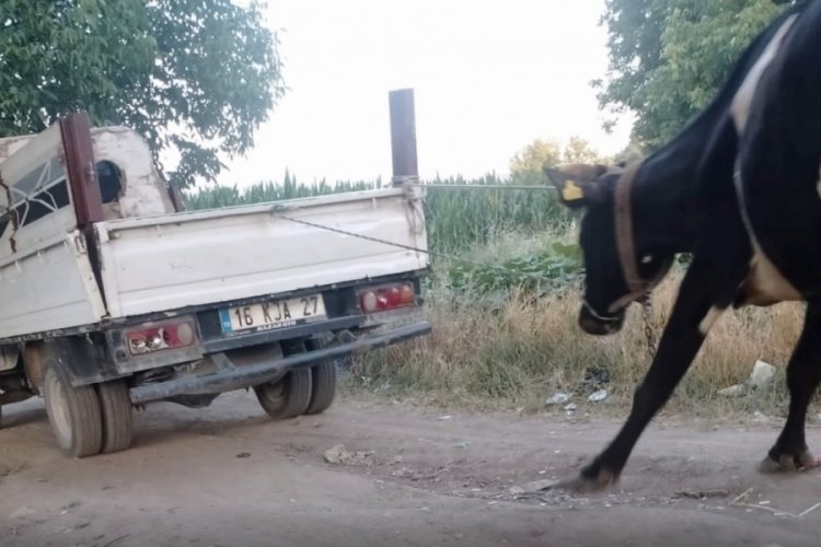 Bursa'da kan donduran işkence!