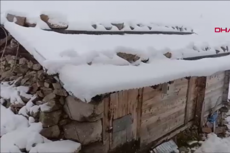 Temmuz ayında şaşırtan görüntü! Lapa lapa kar yağdı