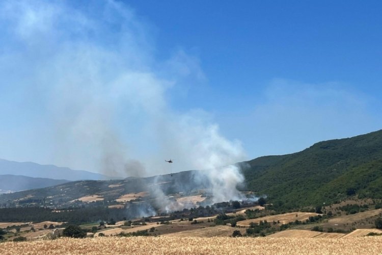 Bursa'da korkutan yangın! Alevler ormana sıçradı