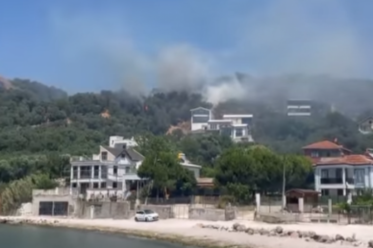 Bursa'da bir yangın daha çıktı! Yerleşim yerinin çok yakınında...
