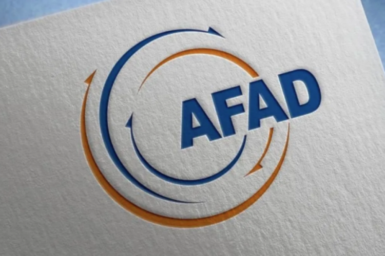 AFAD, Ödemiş'teki orman yangınına ilişkin son durumu paylaştı