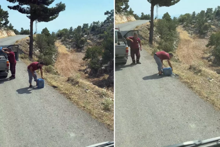 Pes dedirten duyarsızlık! Ciğerlerimizi yakan yangınlar işte böyle çıkıyor