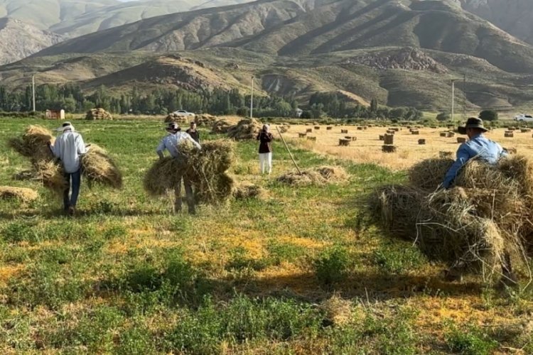Kızgın güneş altında ekmek mücadelesi