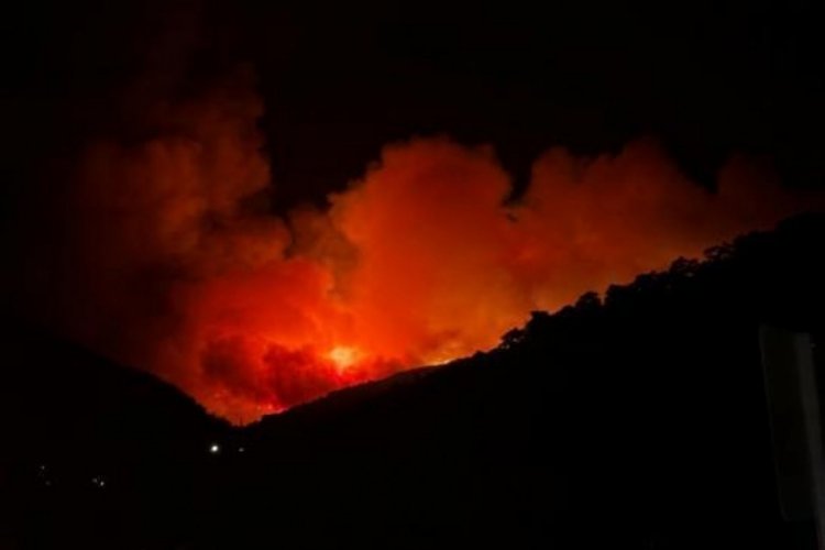 Ödemiş'ten acı haber: Orman işçisi yaşamını yitirdi