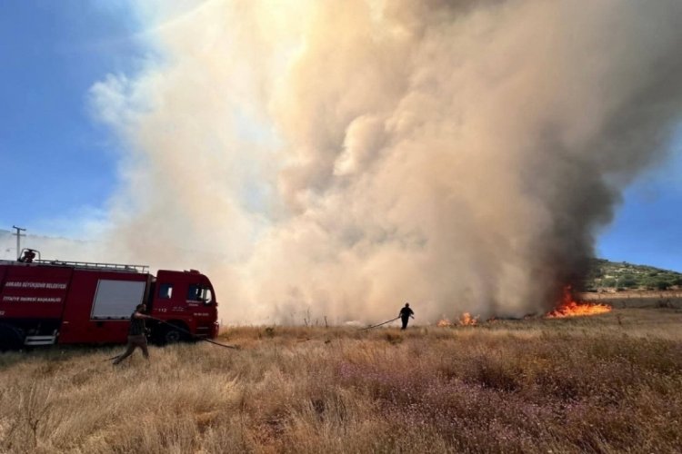 Ankara'da tarla yangını