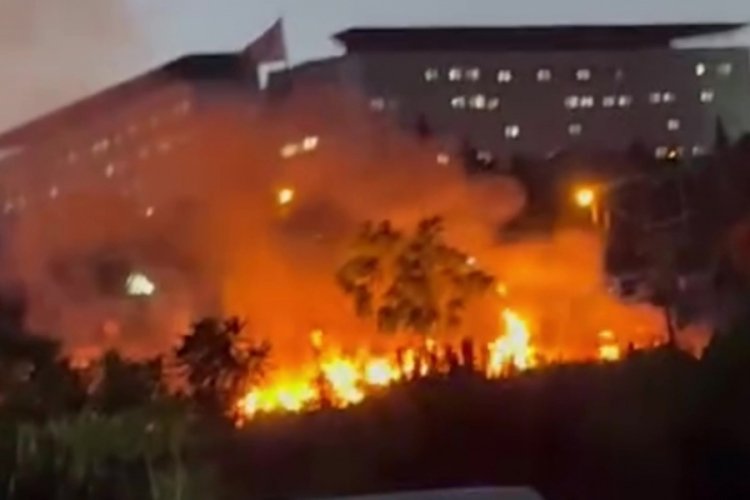 Darıca Millet Bahçesi'nde çıkan yangın söndürüldü