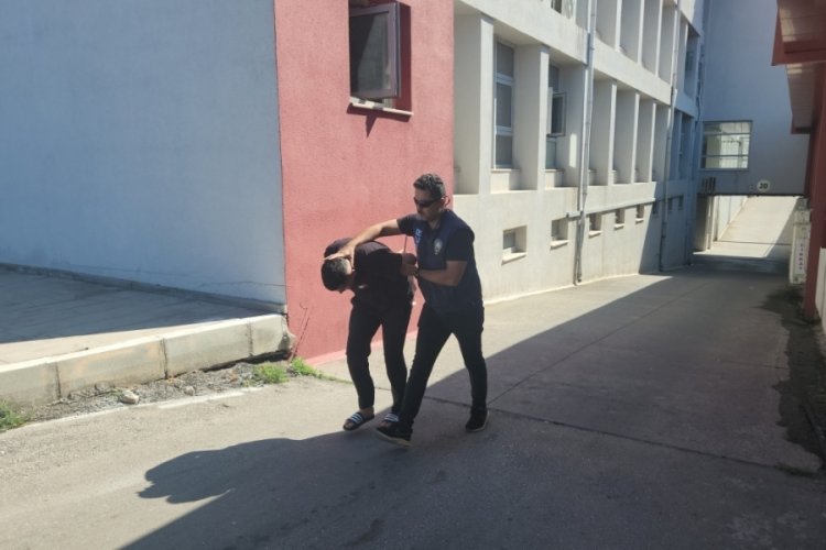 'Sazan sarmalı' dolandırıcılığı: Gerçek ev sahibine hiç para ulaşmadı