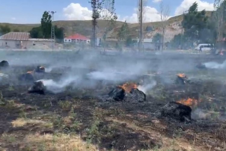 Bin 500 bağ ot kül oldu