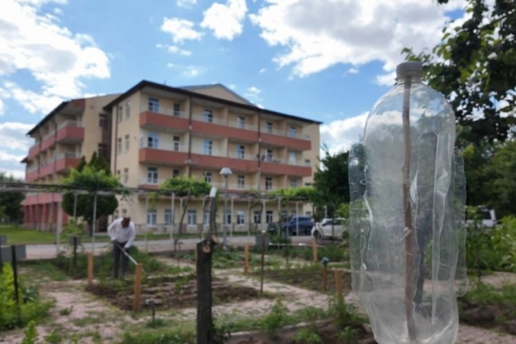 Huzurevi'ndeki yaşlı çınarlar; hobi bahçesi ile toprakları yeşertiyor