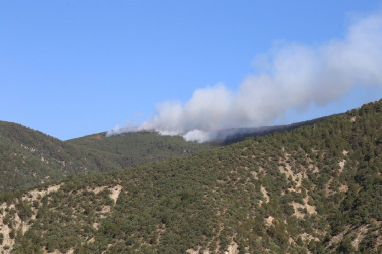 Kastamonu'da orman yangını: Alevlere havadan ve karadan müdahale ediliyor