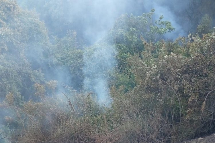 Bursa'da aynı bölgede bir yangın daha!