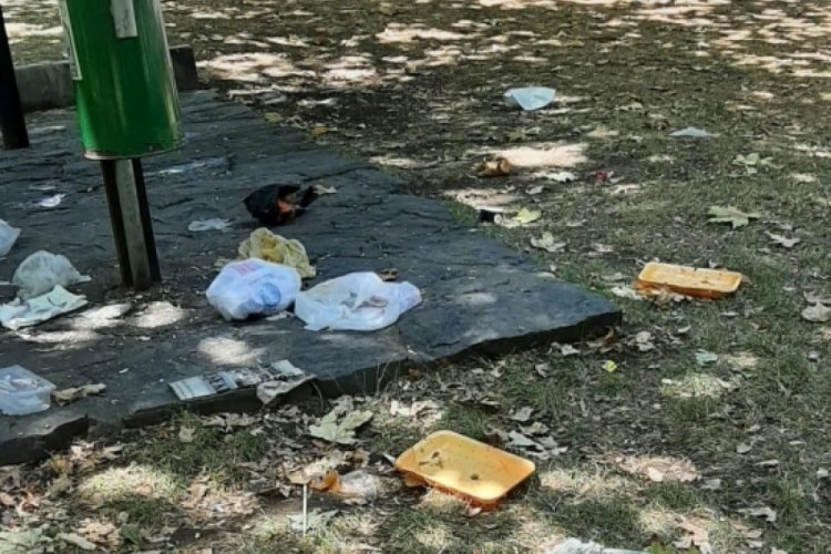 Bursa'nın göbeğinde şoke edici manzara! Sabah sabah neye uğradıklarını şaşırdılar