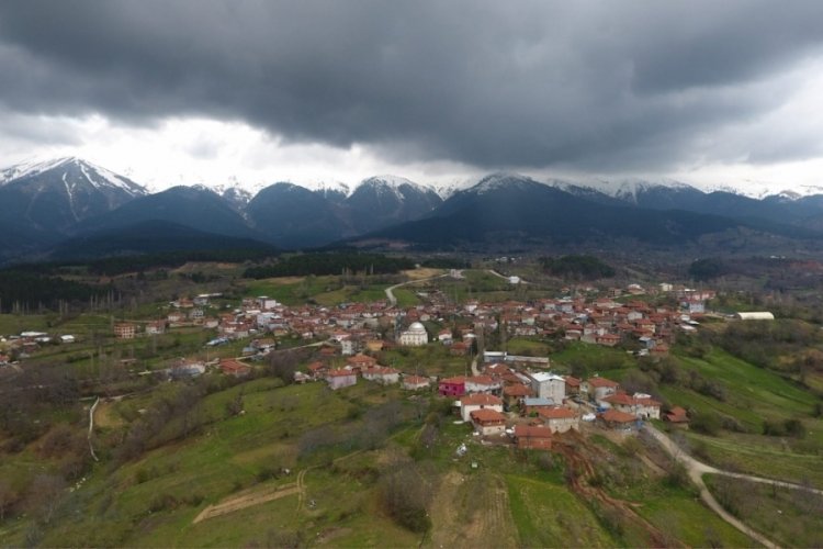 Bursa'nın tarihi köyündeki orman parkı aylık 20 bin TL'ye kiralık!