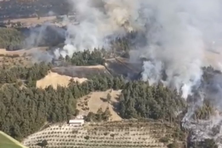 Balıkesir'de orman yangını