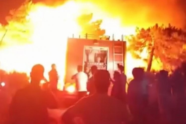 Hatay'da orman yangını