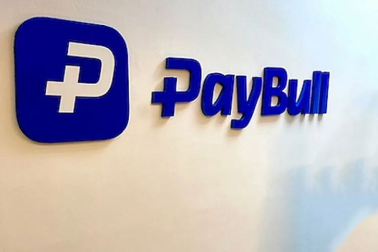 Paybull faaliyet izni iptal edildi! Karar Resmi Gazete'de