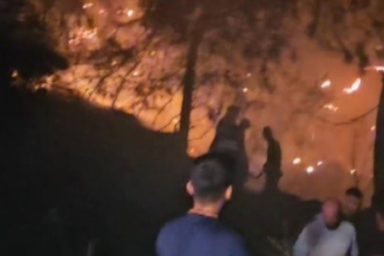 Hatay'da çıkan orman yangını kısa sürede kontrol altına alındı