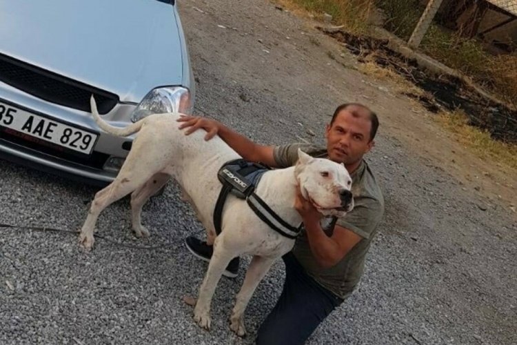 Aile faciası! Tartışma ölümle sonuçlandı