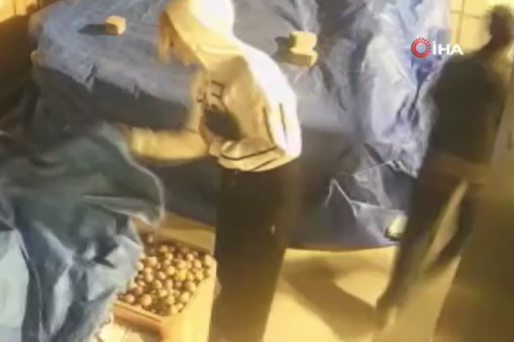 Gece yarısı 2'si kız 3 genç, brandayı keserek kuruyemiş çaldı
