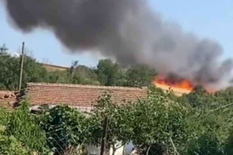Yerleşim yerine yaklaşan alevler korkuttu