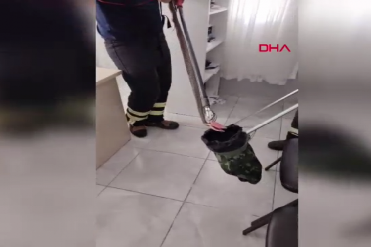 Aile sağlığı merkezinde yılan paniği