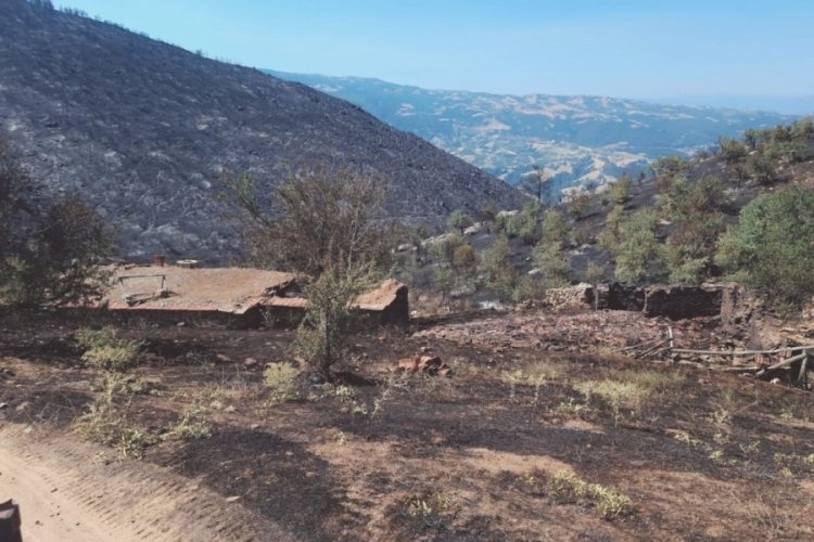 Yangından geriye küle dönen evler ve tarlalar kaldı