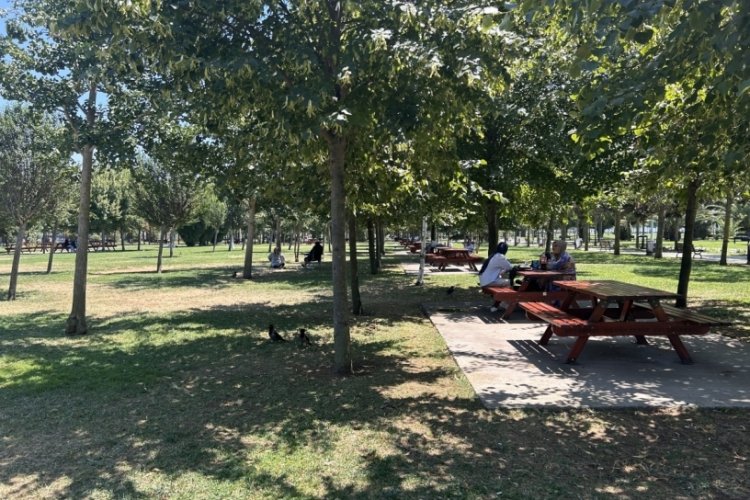 Kavurucu sıcaklarda kimi yüzerken kimiyse kilometrelerce koştu
