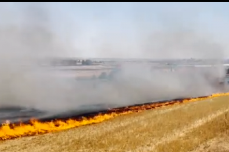 Tekirdağ'da çıkan tarla yangını söndürüldü