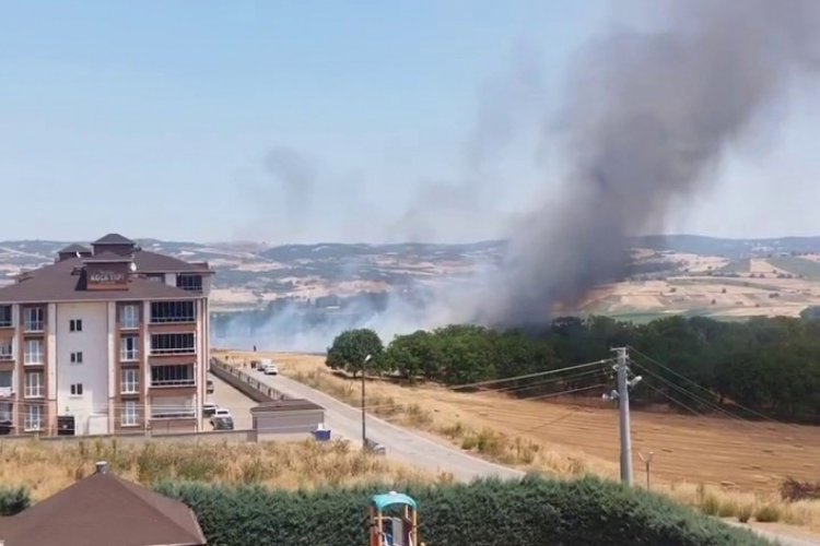 Bursa'da korkutan yangın! Alevler evlere yaklaştı