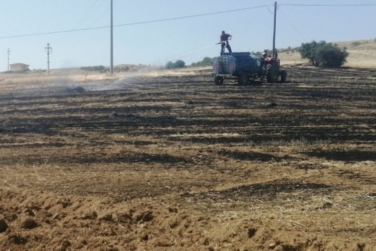 Isparta'da 30 dönümlük tarla yanarak kül oldu