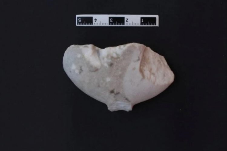 Bursa'nın yanı başında Göbeklitepe'den daha eski! Tüm tarihi değiştirecek keşif