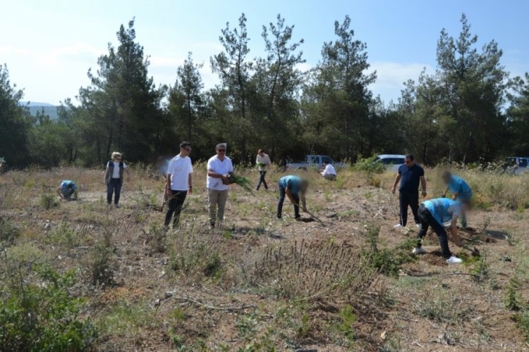 Bursa'da 15 Temmuz şehitleri anısına fidan dikildi
