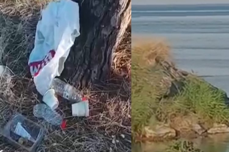 Bursa'nın nefes alanını çöplüğe çevirdiler! Başka vahim iddialar da var...
